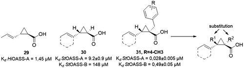 Figure 1. Evolution of cyclopropanecarboxylic acid derivatives as inhibitors of StOASS-A and StOASS-B.