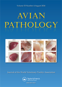Cover image for Avian Pathology, Volume 53, Issue 4, 2024