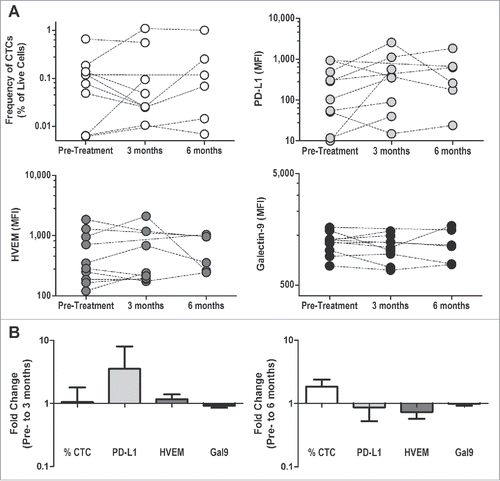 Figure 4. Treatment with sipuleucel-T leads to similar changes in checkpoint ligand expression on CTCs. CTCs from PBMC of patients treated with sipuleucel-T (n = 10) were assessed for the expression of checkpoint ligands (as above) pre-treatment, during treatment (3 mo) and at 6 mo post-treatment. Of note, samples were only available from 6 of 10 patients at 6 mo after treatment. (A) Frequency of CTC and the mean-fluorescence intensity (MFI) of PD-L1, HVEM, and Galectin-9 on the CTC are shown for all individual patients. (B) The log-transformed fold change (post/pre) is shown for both 3 mo and 6 mo post-treatment.