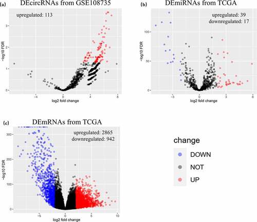 Figure 2. Identified DERNAs from GEO and TCGA. (a) 113 upregulated differentially expressed circular RNAs were identified from GSE108735. (b) 56 differentially expressed microRNAs with 39 upregulated ones and 17 downregulated ones were identified from The Cancer Genome Atlas (TCGA). (c) 3807 differentially expressed messenger RNAs with 2865 upregulated ones and 942 downregulated ones were identified from TCGA