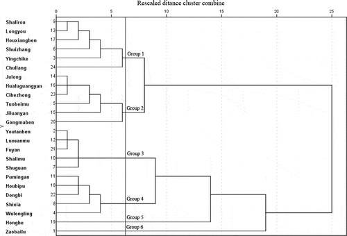 Figure 1. Hierarchical clustering analysis dendrogram of 24 longan cultivars based on their phenolic profiles and cellular antioxidant activity.