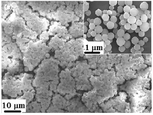 Figure 7. SEM images of casted DFHM-ef-PMMA film surface; and enlarged view (inset). Reproduced with permission from ref. [Citation32].