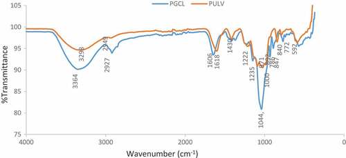 Figure 2. FTIR spectra of PGCL (G. gracilis) and PULV (U. lactuca)