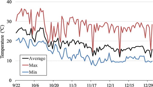 Figure 2. Temperatures during cultivation. The temperature was recorded every hour, and the maximum, minimum, and average temperatures were calculated for each day.