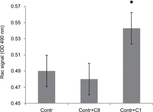 Figure 6 The effects of C8 and C1 isomers on the Rac-activation signal in control RAW 264.7 macrophages.Notes: RAW 264.7 macrophages were incubated with MBP C1 and C8 isomers (0.5 µM) for 24 hours followed by the determination of Rac activity as described in the “Methods” section. Data represented are mean ± SEM of results from four separate experiments performed in duplicate.*P<0.05 vs corresponding control cells.Abbreviations: Contr, control; MBP, myelin basic protein; SEM, standard error of mean.