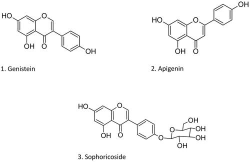 Figure 1. Chemical structures of the isoflavone genistein (1), its glucoside sophoricoside (3), and the flavone apigenin (2).