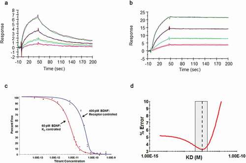 Figure 3. Demonstration of affinity improvement of B30 over parental R3bH01