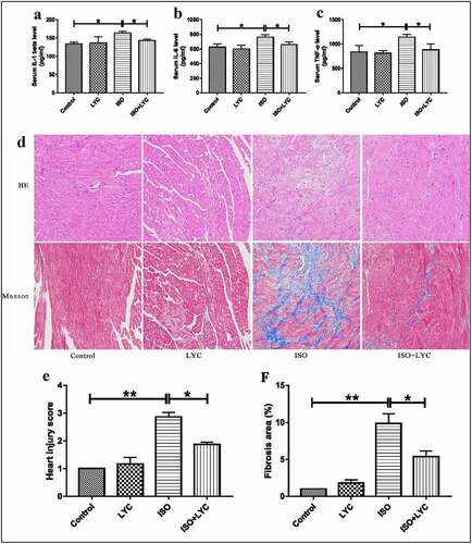 Figure 2. Treatment Of LYC Ameliorated Histopathological Injury In Heart Induced By ISO. (a,–c) The Levels Of Inflammatory Cytokines Like IL-1β, IL-6 And TNF-Α Were Assessed By Assay Of ELISA. (d) The Results Of H&E Staining And Massion Staining. (e) Heart Injury Score Was Used To Assess Degree Of Cardiac Injury. (f) Fibrosis Area (%) Was Used To Evaluate Degree Of Cardiac Fibrosis. *P < 0.05 And **P < 0.01 Mean Statistic Significance