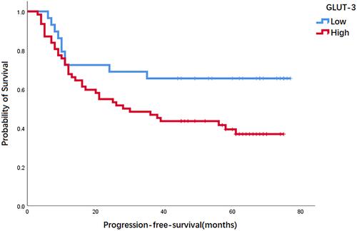 Figure 2 Kaplan-meier curves for PFS according to expression of GLUT-3 in patients with diffuse large B-cell lymphoma.