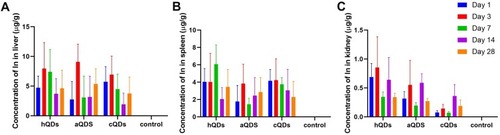 Figure 6 The In element concentration in organs over a period of 28 days in mice following administration of three InP/ZnS QDs at 25 mg/kg BW. (A) Liver tissues. (B) Spleen tissues. (C) Kidney tissues.