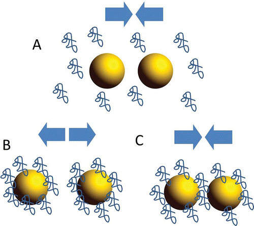 Figure 3. Schematic representation of mode of stabilization and destabilization of oil droplets (yellow spheres) in an oil-water emulsion by dietary fiber (blue random coils). (A) When DF does not absorb to the droplet surface, flocculation of lipid droplets may result from the steric effect due to the presence of polymers in the continuous phase (depletion flocculation). (B) when DF stably absorbs on droplet surface forming thick layers, steric repulsion ensues that stabilizes the emulsion. (C) When DF forms incomplete layers on droplet surface, bridging of droplets may cause their flocculation (bridging flocculation).