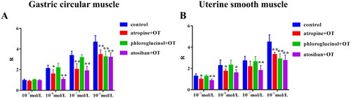 Figure 2. The effect of phloroglucinol on contraction of gastric circular muscle strips and uterine smooth muscle induced by OT. (A) The effect of phloroglucinol on the contraction of gastric circular muscle strips induced by OT. (B) The effects of phloroglucinol on uterine smooth muscle contraction induced by OT. Data are expressed as mean ± SD. n = 6. *p < 0.05, **p < 0.01 vs. control.