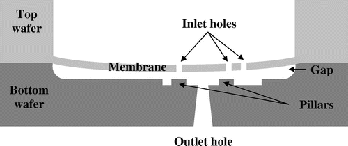 Figure 1. Schematic cross-section of the valve (not to scale).