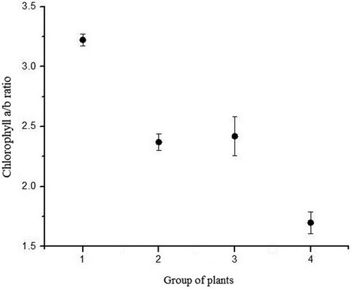Figure 12. Chlorophyll a/b ratio of each group (P. vulgaris) exposed to different light regimes.