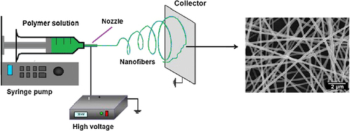 Figure 1. The fundamental necessities of an electrospinning apparatus.