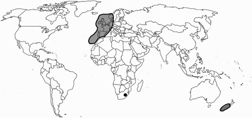 Figure 2. Generalised global distribution of Plagiochila spinulosa. The black dot represents the single specimen of Plagiochila spinulosa from Lesotho.