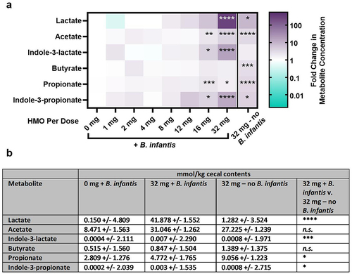 Figure 2. Metabolite analysis of cecal contents from mice treated with B. infantis and different doses of HMO. The indicated metabolites were quantified in cecal contents. (a) Heatmaps displaying the geometric mean of the metabolite quantification for each HMO dose group on day 17, log-transformed and normalized to that of the group receiving 0 mg HMO. Asterisks represent p-values compared to the 0 mg HMO group calculated using one-way ANOVA with Sidak’s posttest. (b) Geometric mean and geometric standard deviation of metabolites in cecal contents, and p-values between the indicated dose groups calculated by one-way ANOVA on all groups with Sidak’s multiple comparison test.
