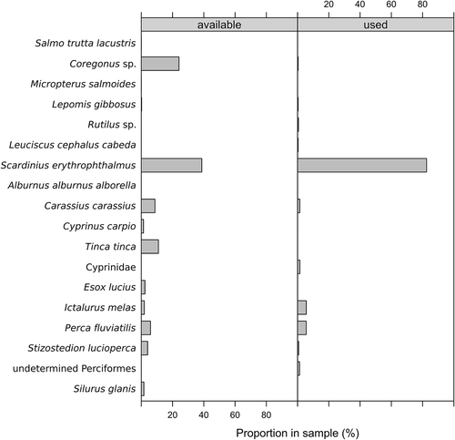 Figure 3. Comparison between results of pellet analysis from Brabbia roost (cormorant diet) and data from haul sampling on the lakes of Varese district (Lake Varese, Lake Comabbio and Lake Monate) as an estimator of fish availability.