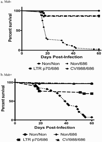 Figure 3. Survival curves of chickens vaccinated at hatch and challenged at 5 days of age. (a) Survival curve for Mab− chickens. (b) Survival curve for Mab+ chickens.