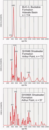 Figure 8. Probability distribution of zircon ages (n, number of zircons) from samples in the Devonian Buckabie Formation (Adavale Basin; Asmussen et al., Citation2023), and lower Carboniferous(?) Shoalwater Formation at Arthur Point. See Figure 2 for location; sample SHW48 from Korsch et al. (Citation2009); sample SHW48X from Adams and Ramsay (Citation2022).