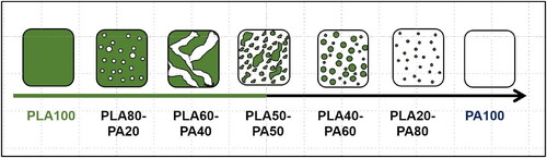 Figure 8. Scheme to illustrate the morphology evolution by increasing the amounts of PA12 in PLA(NA)/PA blends.