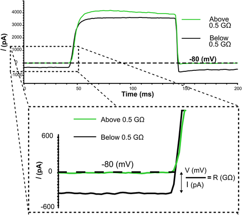 Figure 1. Currents and schematic representation of seal resistance calculation. the current (pA) vs. time (ms) graph shows representative current traces from two-independent cells upon depolarization to 20 mV from a − 80-mV holding voltage immediately after whole-cell break-in. Exemplar traces from cells that maintain a seal resistance above 0.5 GΩ (no current leak) are depicted in green, while cells that have a seal resistance below 0.5 GΩ (current leak) are depicted in black. The inset below illustrates seal resistance (GΩ) calculation based on holding voltage (mV) divided by leak current (pA) in accordance with Ohm’s law.