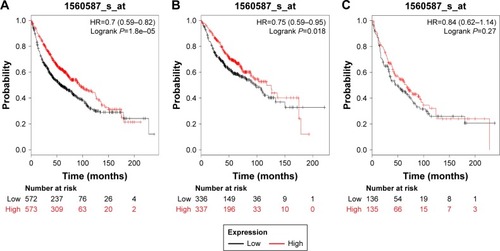 Figure 5 The prognostic value of PRDX5 expression in the database.