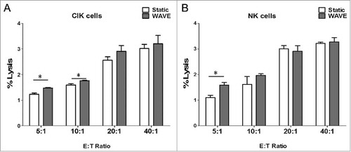 Figure 9. Cellular cytotoxicity assay. Cytotoxic activity of DC-CIK and DC-CTL cells against B16 melanoma cells. In the CCK-8 cytotoxic analysis, K562 cells were used as the target cells at various E:T ratios (5:1, 10:1, 20:1 and 40:1) to evaluate the specific cytotoxic activity. The results indicated that the cytotoxicity increased as the E:T ratio increased between 5:1 and 40:1. However, the cytotoxic effect of the WAVE group and Static group were significantly different (P<0.05) at the ratio of 5:1 of CIK cells and NK cells, plus ratio of 10:1 of CIK cells, with the cytotoxic effects.