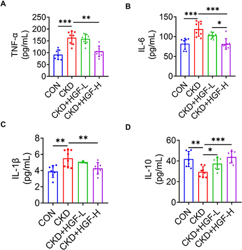 Figure 4 HGF suppresses blood’s inflammation of the CKD rats. Concentration of TNF-α (A), IL-6 (B), IL-1β (C) and IL-10 (D) in rat serum were determined by ELISA, n = 7–8 rats per group. Data represent mean ± SD, *P < 0.05, **P < 0.01, and ***P < 0.001.