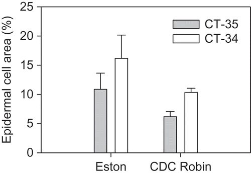 Fig. 6. Size of primary hyphae (assessed as per cent epidermal cell area occupied by primary hyphae) of Colletotrichum truncatum isolates CT-34 (race 0) and CT-35 (race 1) 48 h post-inoculation in attached leaflets of cultivars ‘Eston’ and ‘CDC Robin’.