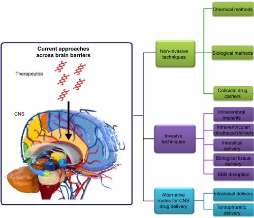 Figure 3 Current approaches for CNS drug delivery.Abbreviation: CNS, central nervous system.