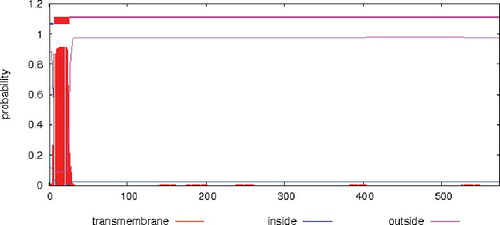 Figure 6. Transmembrane helices prediction of the tobacco AO protein.