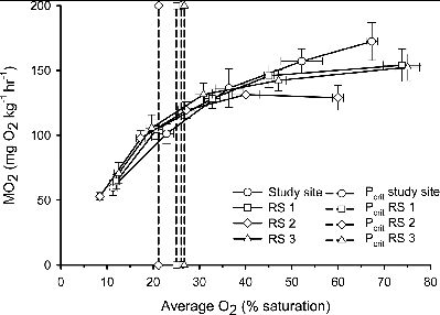FIGURE 6. The relationship between oxygen consumption (MO2) and percent saturation of the water for seven Largemouth Bass collected from the study site in the Chicago Area Waterway System (CAWS) and three reference sites (RS; North Shore Channel of the CAWS, Busse Lake, Des Plaines River). Mean Pcrit values (i.e., critical oxygen tension) for each population are indicated by dashed vertical lines with symbols matching consumption line symbols. Error bars show ±1 SE for both MO2 (vertical) and % saturation (horizontal).