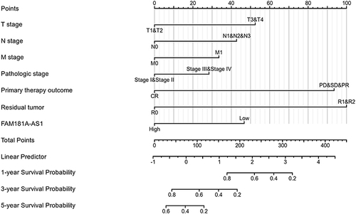 Figure 4 Nomogram for predicting the probability of patients with 1-, 3- and 5-year overall survival.