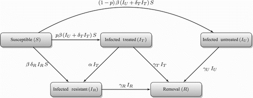 Figure 1. Model diagram for the transitions between sub-populations with emergence of resistance during treatment.