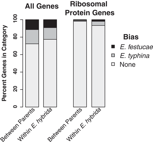 Figure 3. In planta differential expression bias. Gene expression differences between all orthologs (n = 8172 gene models), all homeologs (n = 7679), and ribosomal protein orthologs/homeologs (n = 105; KEGG KO03010). Genes were characterized as biased towards either E. festucae or E. typhina orthologs (parental species comparisons) or homeologs (E. hybrida comparisons), or not differentially expressed, and are plotted as the percent of all expressed genes (leftmost two columns). The same analysis for the ribosomal protein gene models is shown in the rightmost two columns.