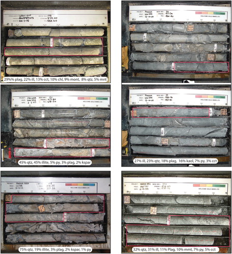 Figure 3. Photographs showing examples of individual trays of drill core from which lithogeochemical data were collected, along with calculated mineral abundances for those intervals for the most abundant minerals within each sample. The red boxes show the interval from which core was split for geochemical analysis (see supplementary data table).