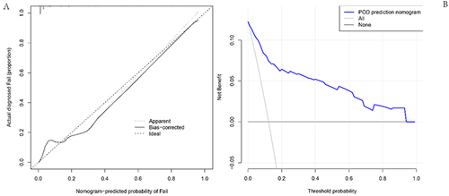 Figure 4 Calibration curves and decision curve analysis for the POD nomogram.