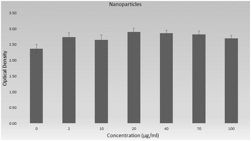 Figure 10. Cytotoxicity of nanoparticles on AGS cells.