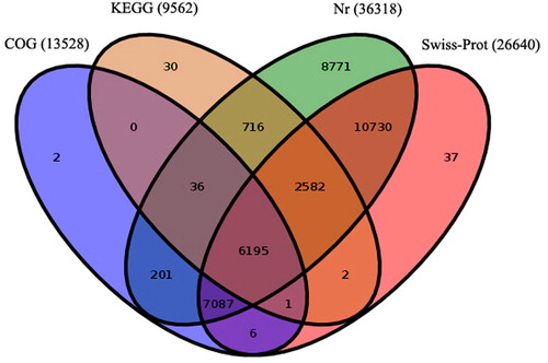 Figure 2. Number of unigenes annonated in protein databases by BLASTx with E-value threshold of 10−5. The numbers in the circles indicate the number of unigenes annotated by single or multiple databases.