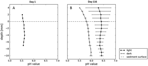 Figure 9. The pH profiles in the beginning and end of the long-term laboratory incubations, measured on the first day of incubations and then in dark and light vessels on day 116