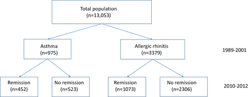 Figure 1 Study flow and number of participants with and without a clinical remission of asthma and allergic rhinitis.