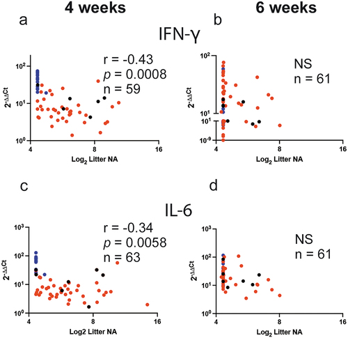 Figure 4. Pearson correlations for the first pregnancy between NA and the expression of mRNA for IFNγ and IL-6 in the lung. Correlation coefficients (r), p (two tail) value, and number of litters used (n) between the mean NA titer of each litter and the mean expression level of lung mRNA for IFNγ (a and b) and IL-6 (c and d) measured at 4 and 6 weeks after birth, respectively, are shown. Blue, red, and black symbols represent pairs from litters of unvaccinated, VLP-vaccinated dams, and RSV re-infected dams, respectively.