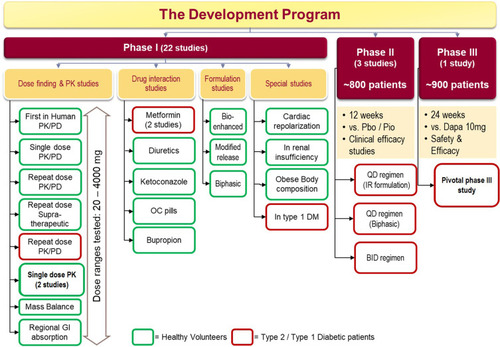 Figure 3 Clinical studies in development program of remogliflozin etabonate.