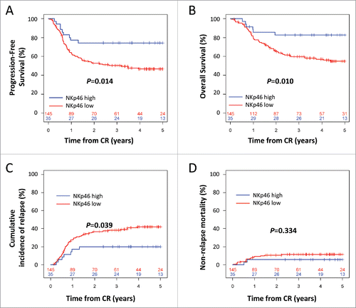 Figure 1. Kaplan–Meier estimates of progression-free survival (A) and overall survival (B) by NKp46 expression at diagnosis. Cumulative incidence of relapse (C) and non-relapse mortality (D) by NKp46 expression at diagnosis. The numbers at the bottom of each plot represent the number at risk at the beginning of each 12-mo period for each group of patients. CR: complete remission. Statistical analyses were performed using a log Rank tests. p < 0.05 was considered significant.