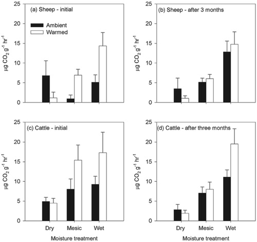 FIGURE 3. Soil respiration rates from soil turf samples incubated in the laboratory under contrasting moisture and temperature regimes from (a) sheepgrazed areas initial analysis, (b) sheep areas after 3 months' incubation, (c) cattle areas initial analysis, and (d) cattle-grazed areas after 3 months' incubation. Mean and SE are shown (n = 9). Positive values indicate efflux of CO2.