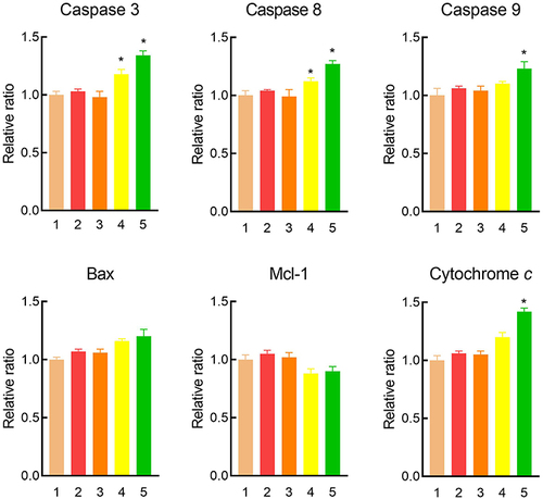 Figure 7 The changed apoptosis-related proteins of drug-resistant MCF-7/adr cells after treatment with various formulations.