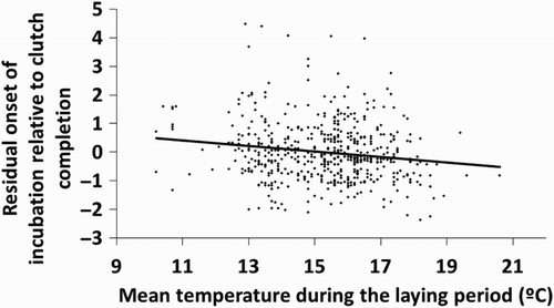 Figure 2. Relationship between the onset of incubation relative to clutch completion (expressed as residuals after controlling for year, uncovering of the eggs before incubation and clutch size; see Table 1) and mean temperature during the laying period of each clutch.