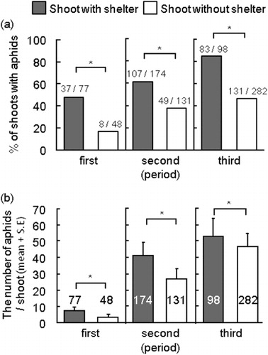 Figure 4. (a) The percentage of shoots with aphids among shoots with shelters and among shoots without shelters and (b) number of aphids per shoot. The numbers in bars in (b) represent the number of shoots. *P ≤ 0.001, (a) Ryan's method, (b) Mann–Whitney U-test.