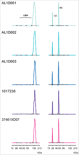 Figure 4. Purity of MSB11022 and Humira® by Bioanalyzer. Representative Bioanalyzer spectra of MSB11022 and Humira® in presence of SDS in non-reducing (left panel) and reducing conditions (right panel). Peaks representing the light chain (LC), heavy chain (HC), and low-molecular weight (LMW) aggregates are labeled.
